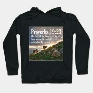 Proverbs 19:23 Hoodie